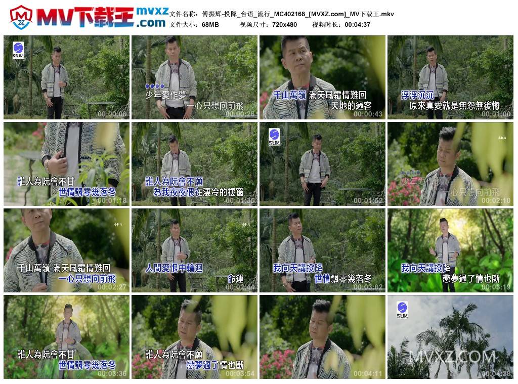 傅振辉-投降_台语_流行_MC402168